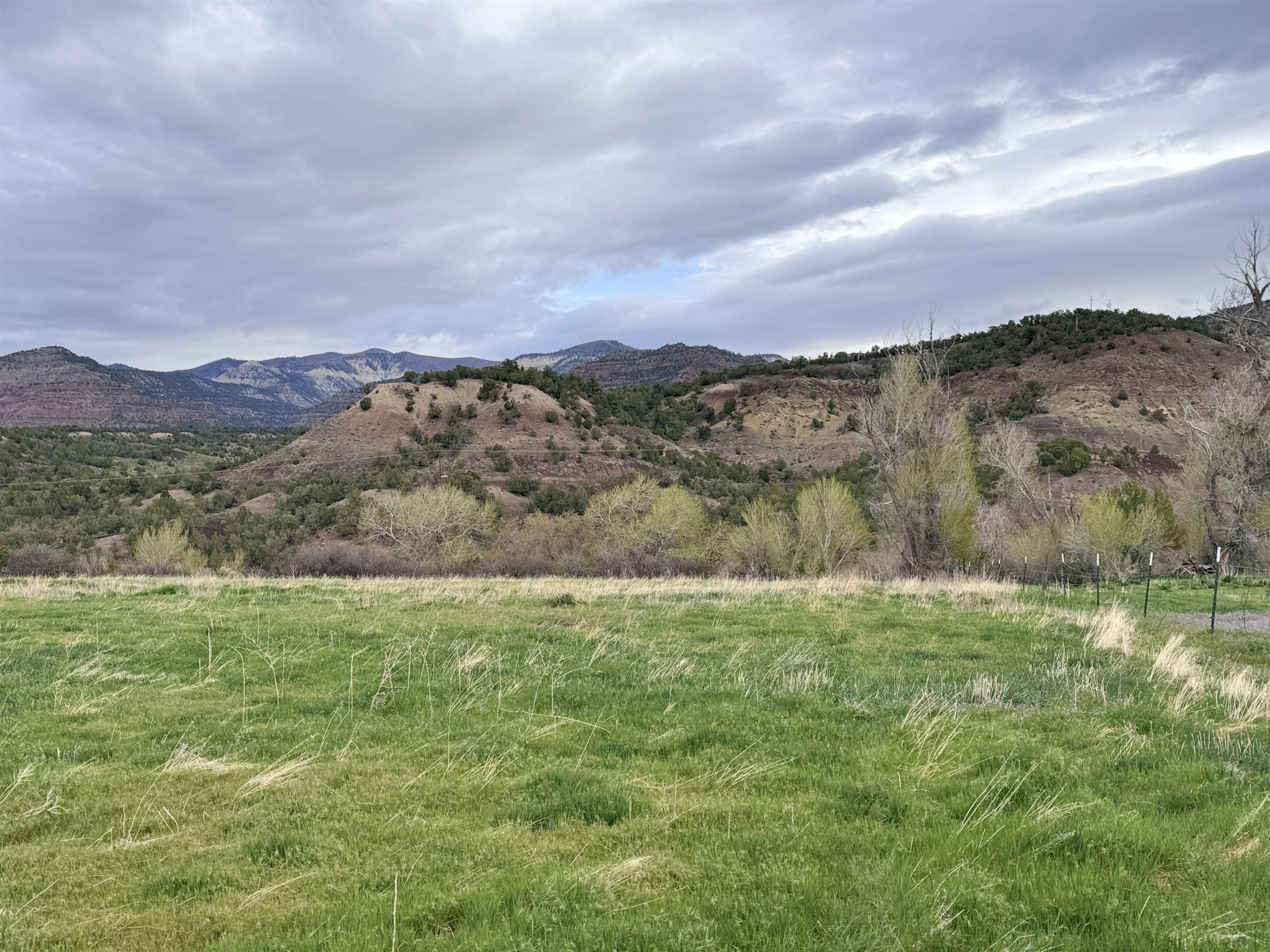 57132 Highway 330, Collbran, CO 81624