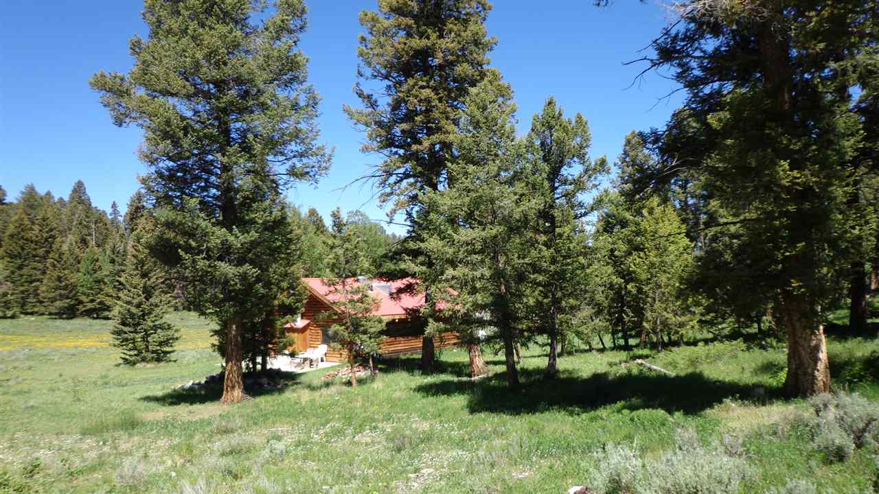 4802 Armitage Springs Road #0, Gunnison, CO 81230