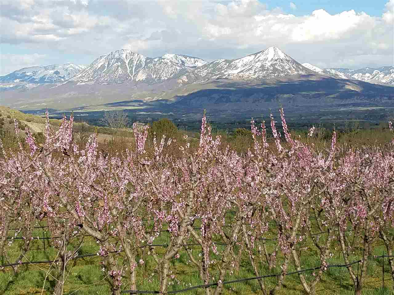 Hotchkiss, CO 81419,11550 3100 Road