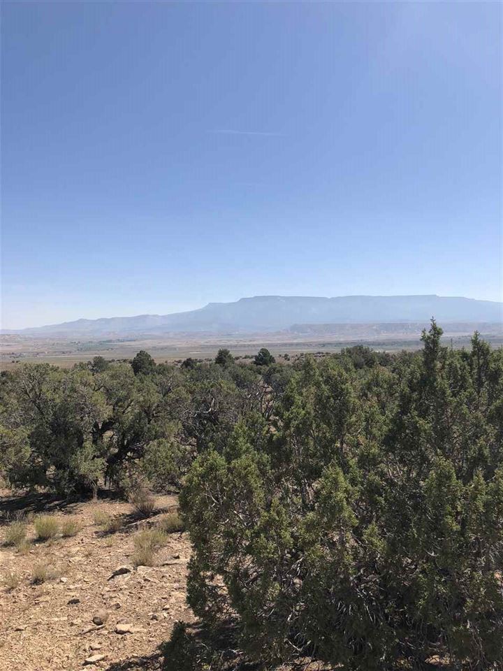 Whitewater, CO 81527,Rt 1 Desert Road #40 acres Square