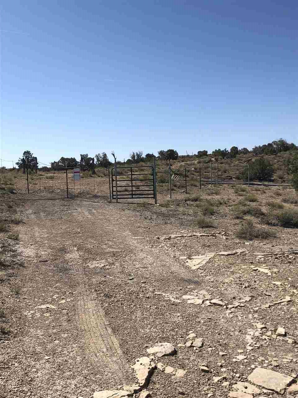 Whitewater, CO 81527,Rt 1 Desert Road #40 acres Square