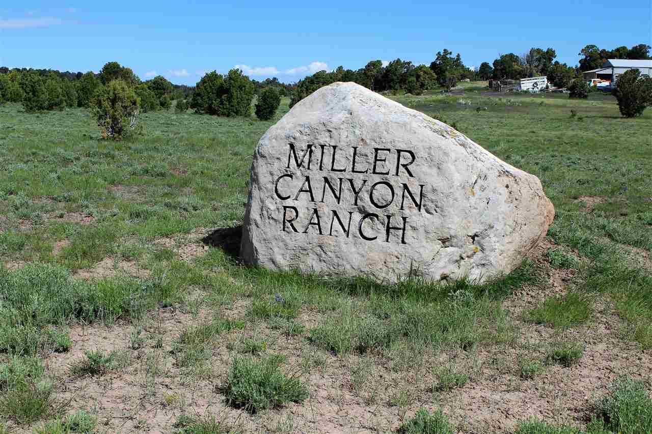 TBD Miller Canyon Ranch Road #2, Glade Park, CO 81523