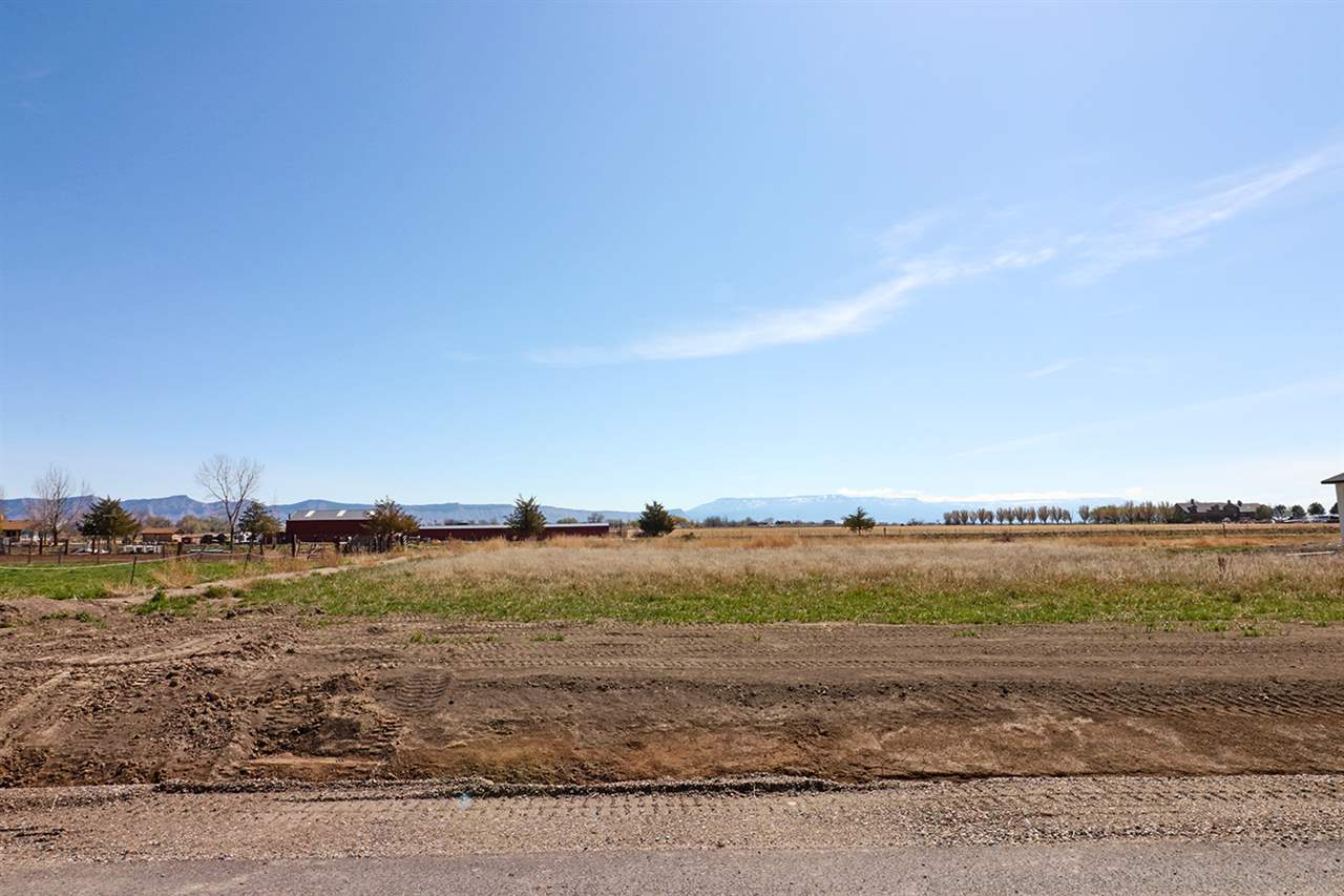 Grand Junction, CO 81505,987 FARM HOUSE ROAD #3