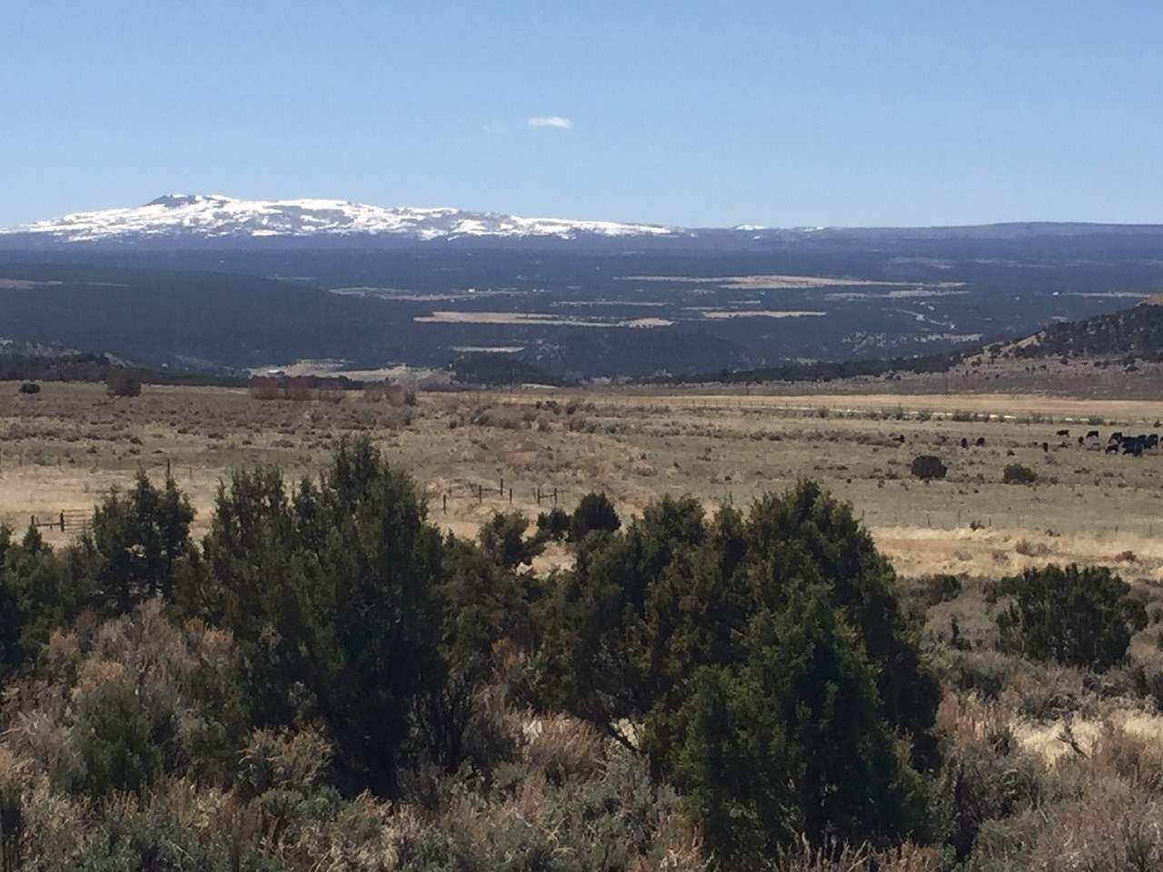 Lot 30 7250 Road #30, Montrose, CO 81403