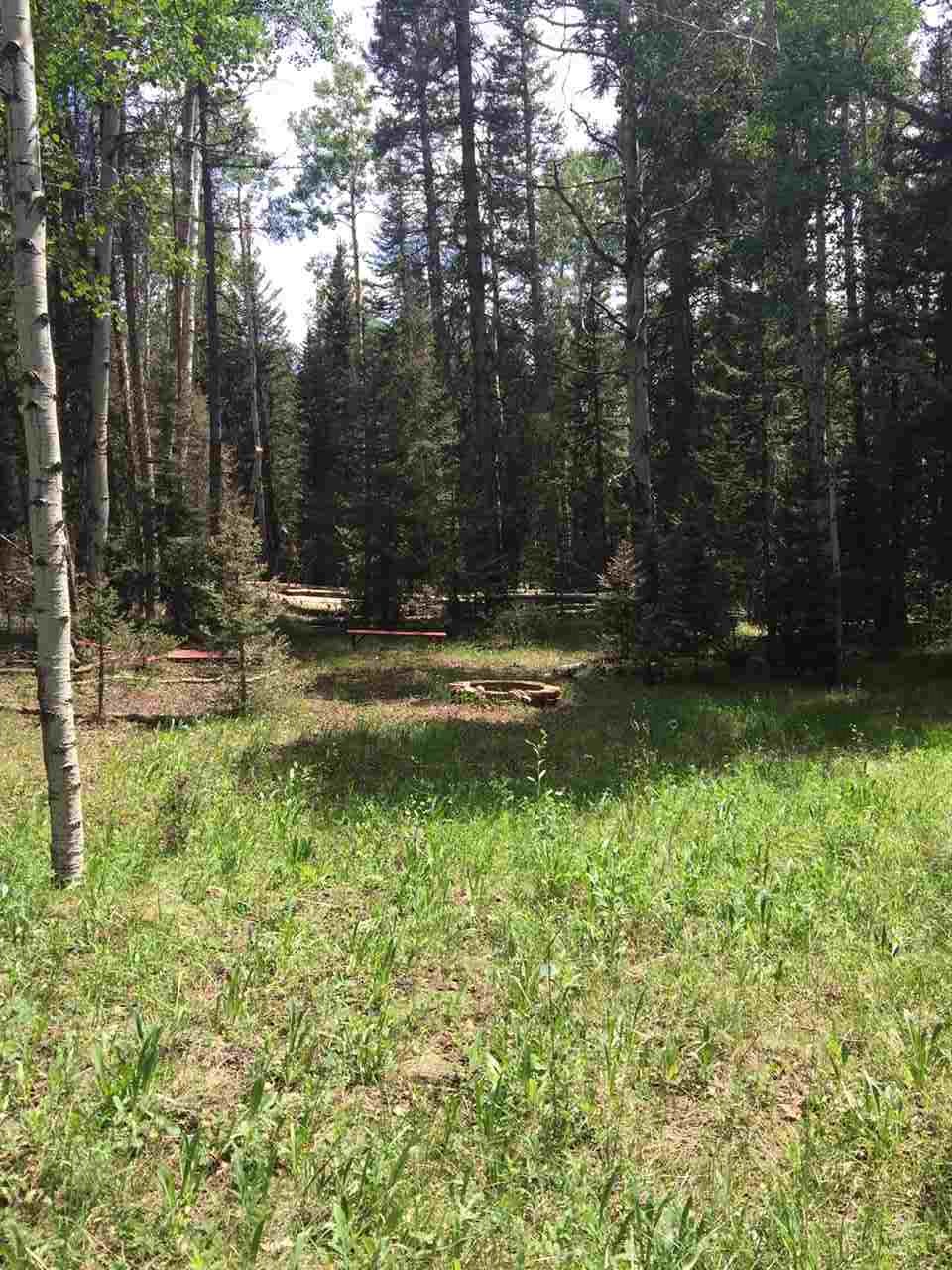 Cimarron, CO 81220,1820 Spruce Road #LOT 6 BLOCK 17 UNIT 1