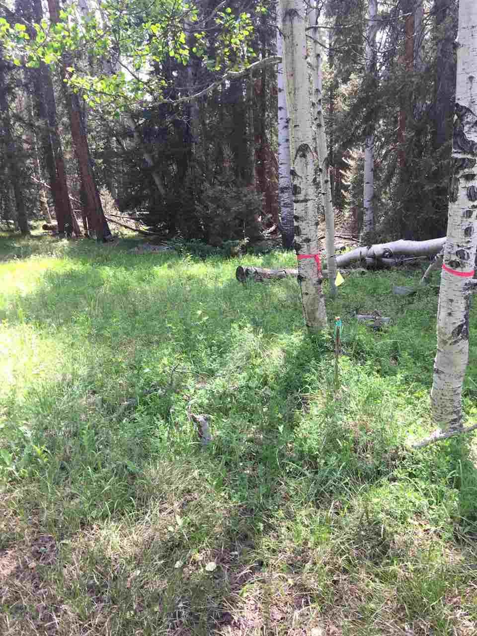 Cimarron, CO 81220,1820 Spruce Road #LOT 6 BLOCK 17 UNIT 1