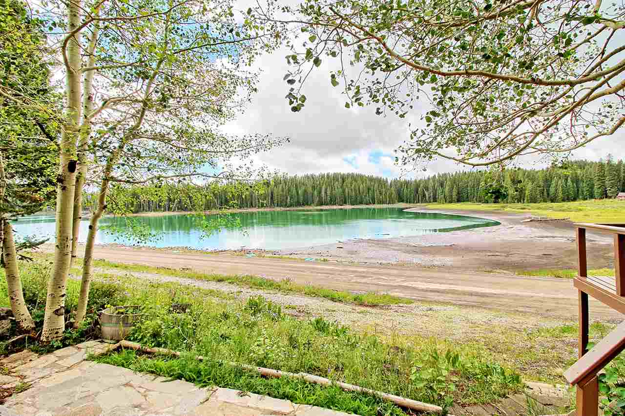 Cedaredge, CO 81413,21657 Baron Lake Drive