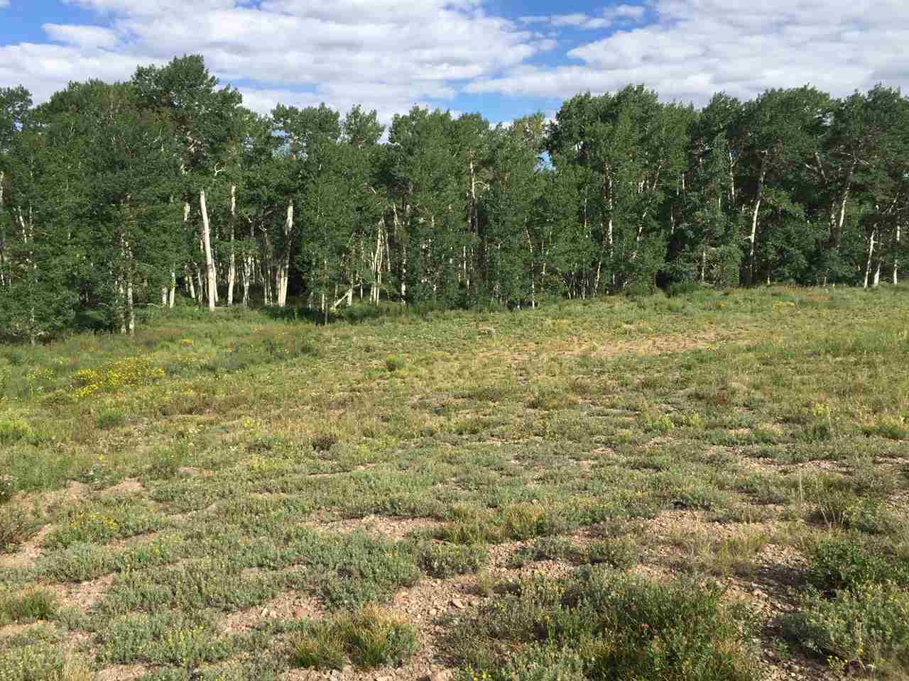 Placerville, CO 81430,Lot 81 San Juan Vista Drive #81