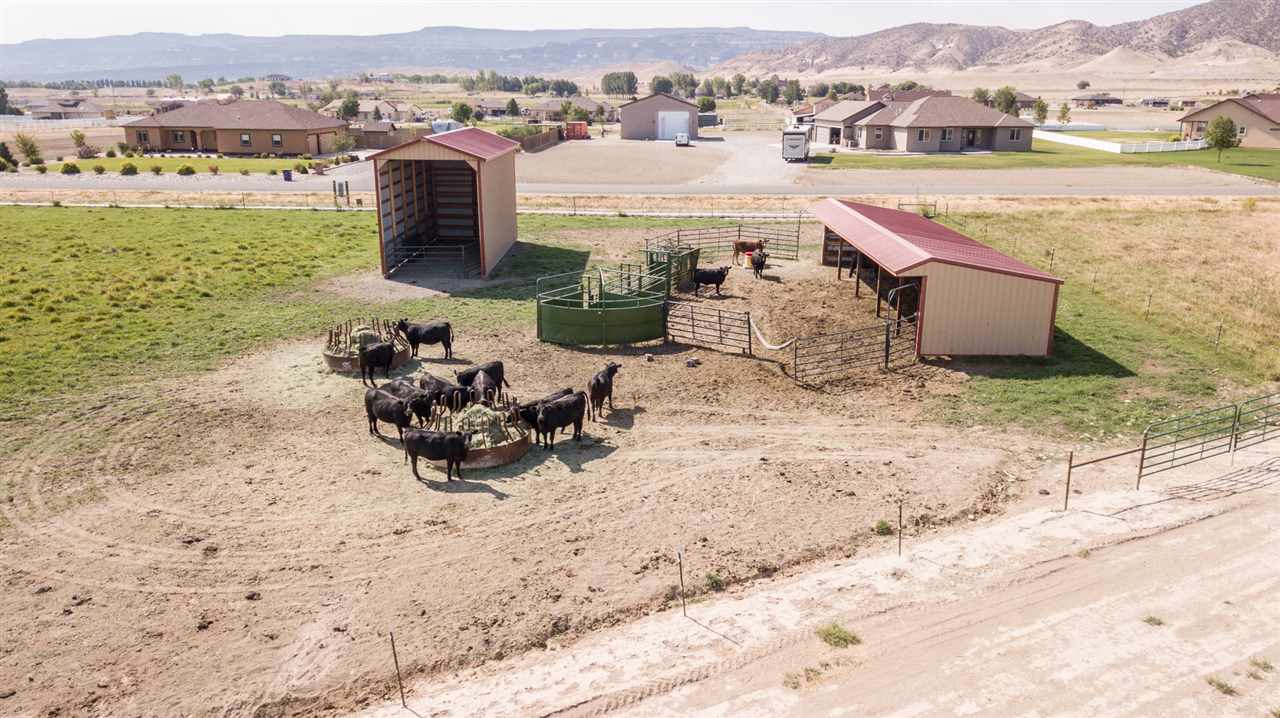 Loma, CO 81524,1345 Lutes Crossing Drive #13