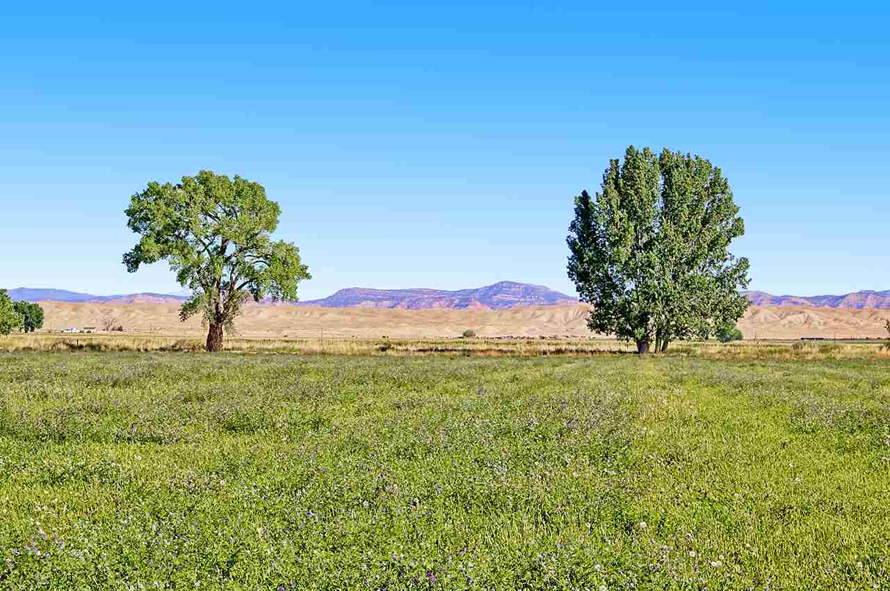 Mack, CO 81525,748 R Road