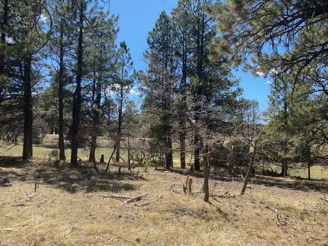 Ridgway, CO 81432,TBD S Badger Trail #427