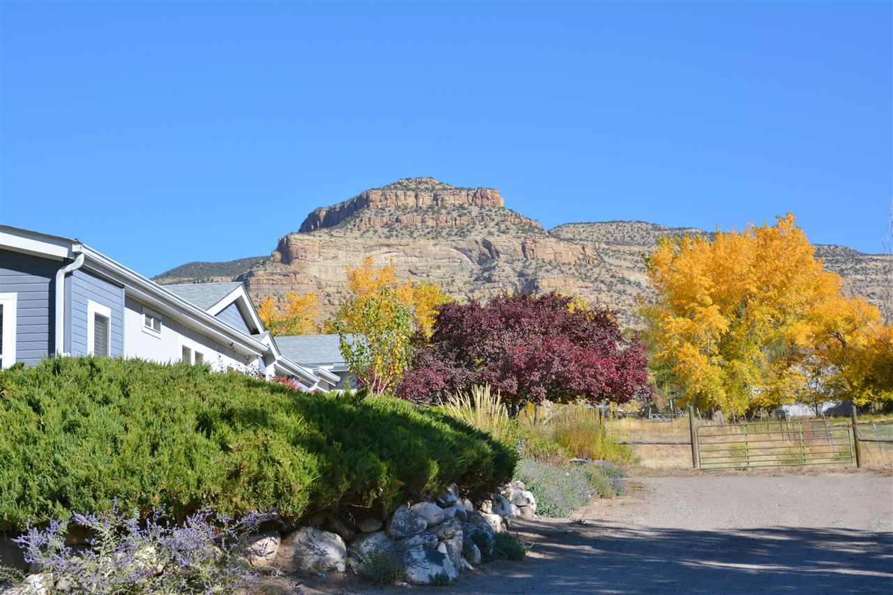 Palisade, CO 81526,869 Rapid Creek Road