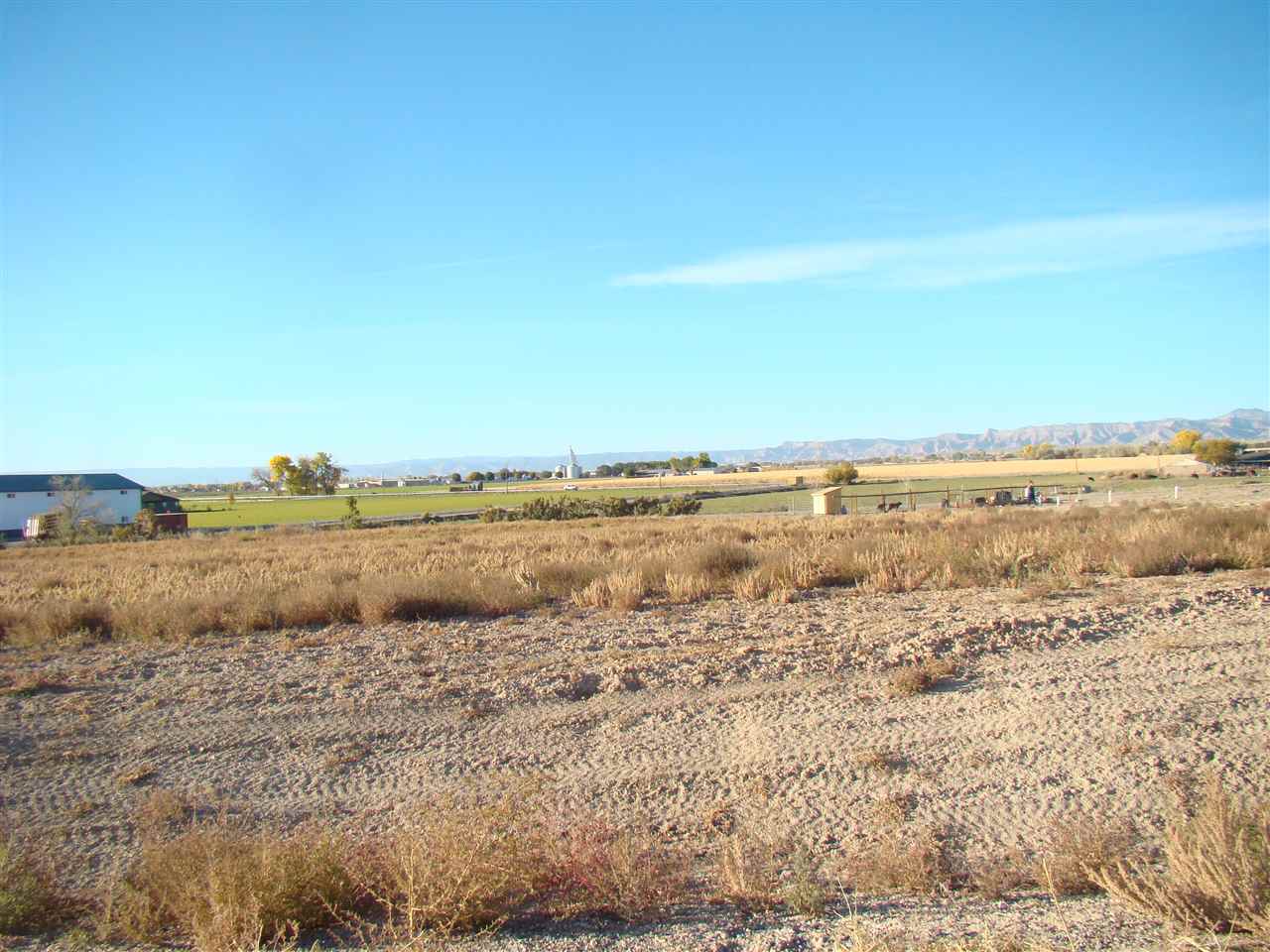 Loma, CO 81524,1591 Cattle Drive #14