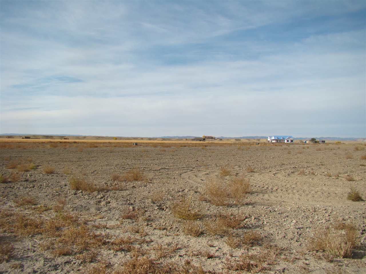 Loma, CO 81524,1591 Cattle Drive #14