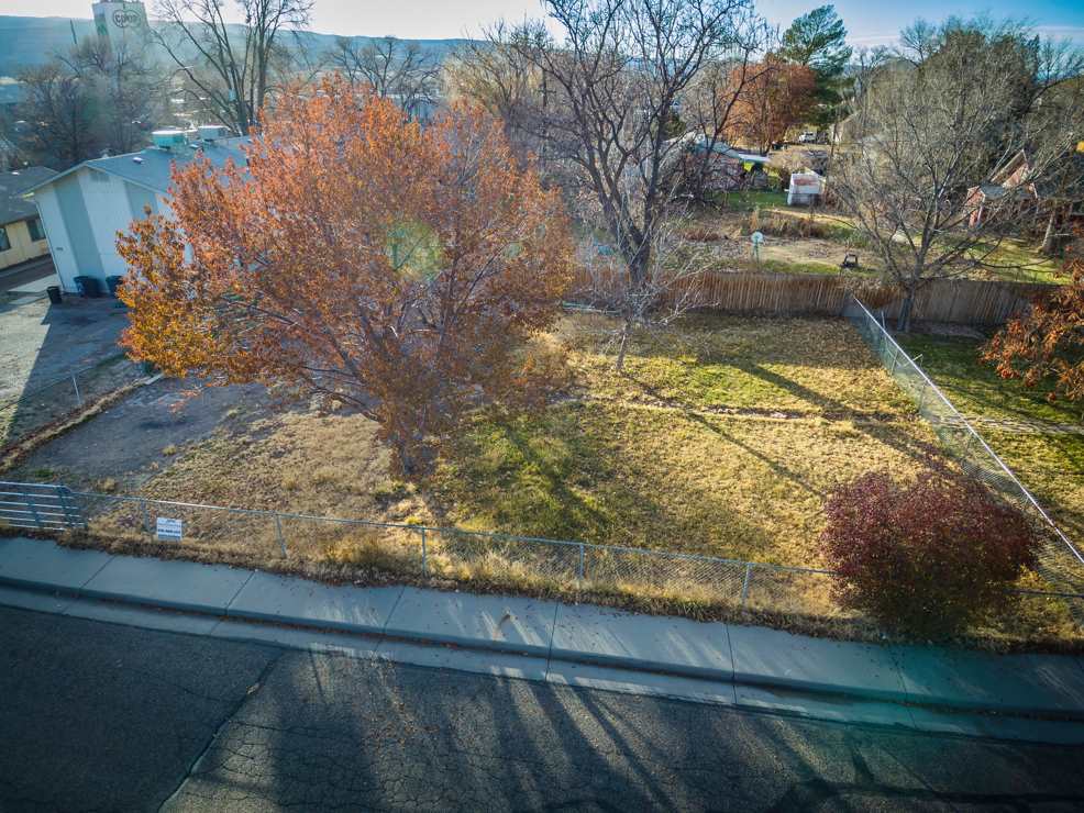 Fruita, CO 81521,231 S Elm Street #2