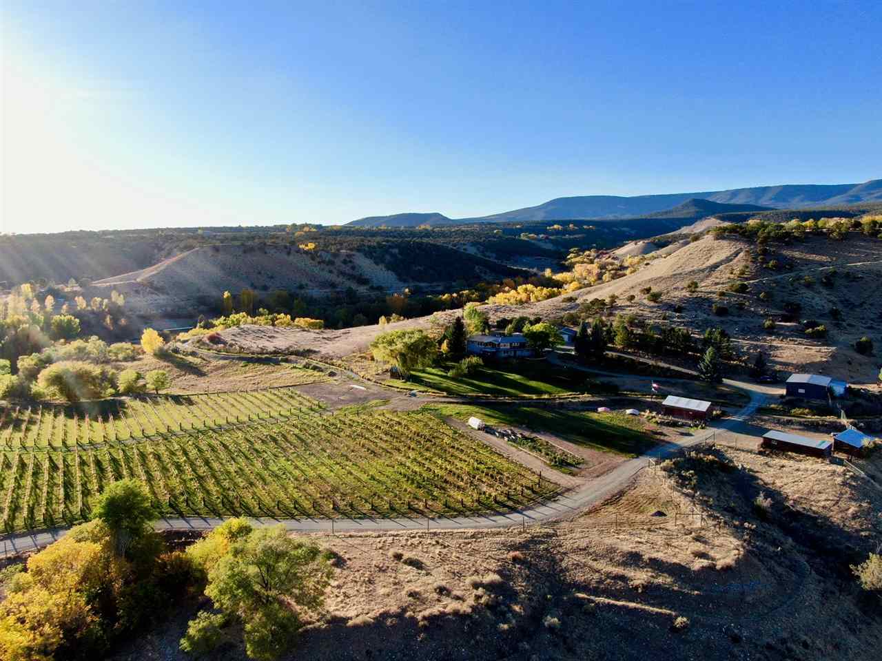 35837 HANSON MESA ROAD, Hotchkiss, CO 81419