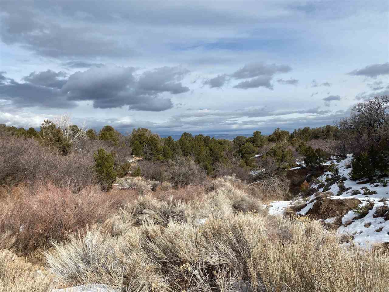 Lot 21 Elk Reserve Road #21, Glade Park, CO 81523