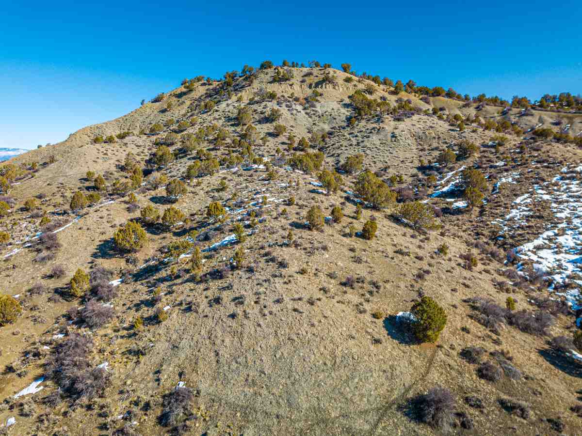 Crawford, CO 81415,TBD Deep Gulch Trail #85