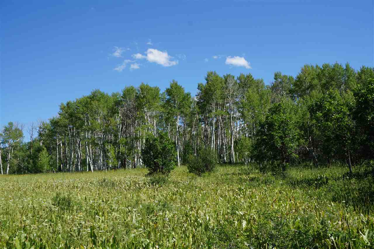 907 Timberlane Drive #108, Craig, CO 81625