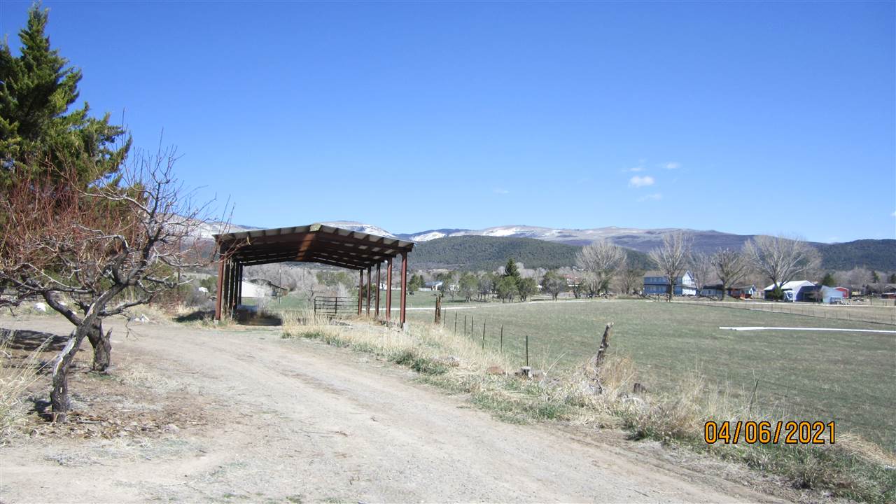 Cedaredge, CO 81413,23019 Frost Road