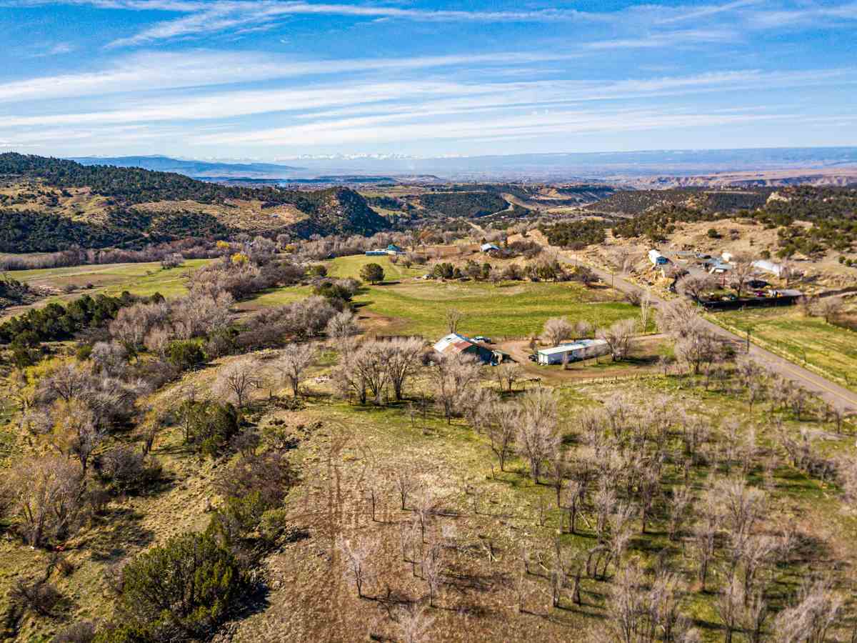 Cedaredge, CO 81413,19252 Green Valley Road #y