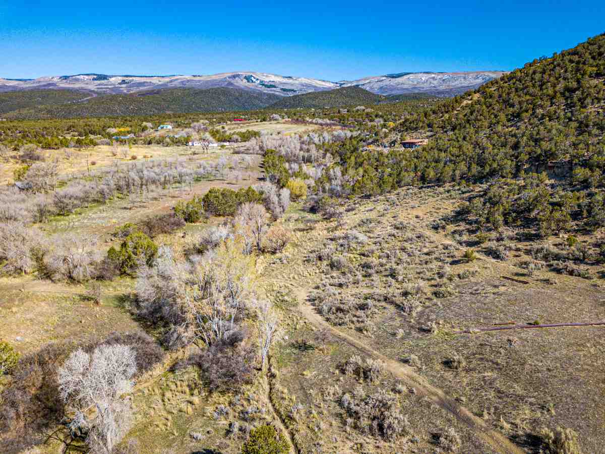 Cedaredge, CO 81413,19252 Green Valley Road #y