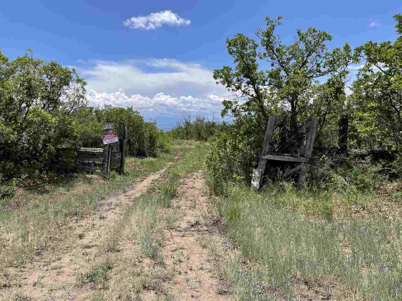 TBD E 3100 Road #N/A, Hotchkiss, CO 81419