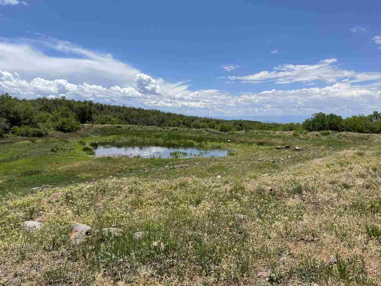 Hotchkiss, CO 81419,TBD E 3100 Road #N/A