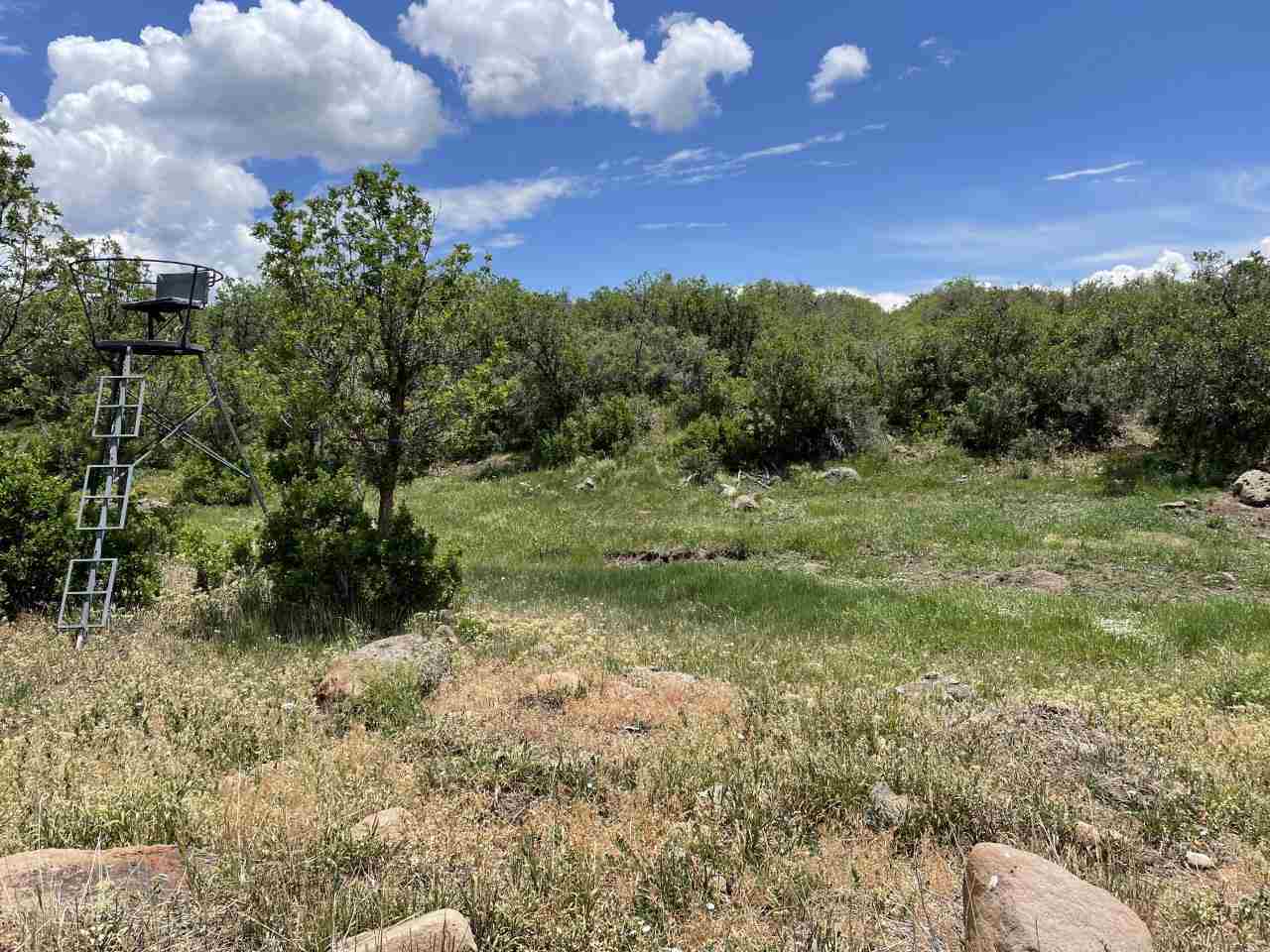 Hotchkiss, CO 81419,TBD E 3100 Road #N/A