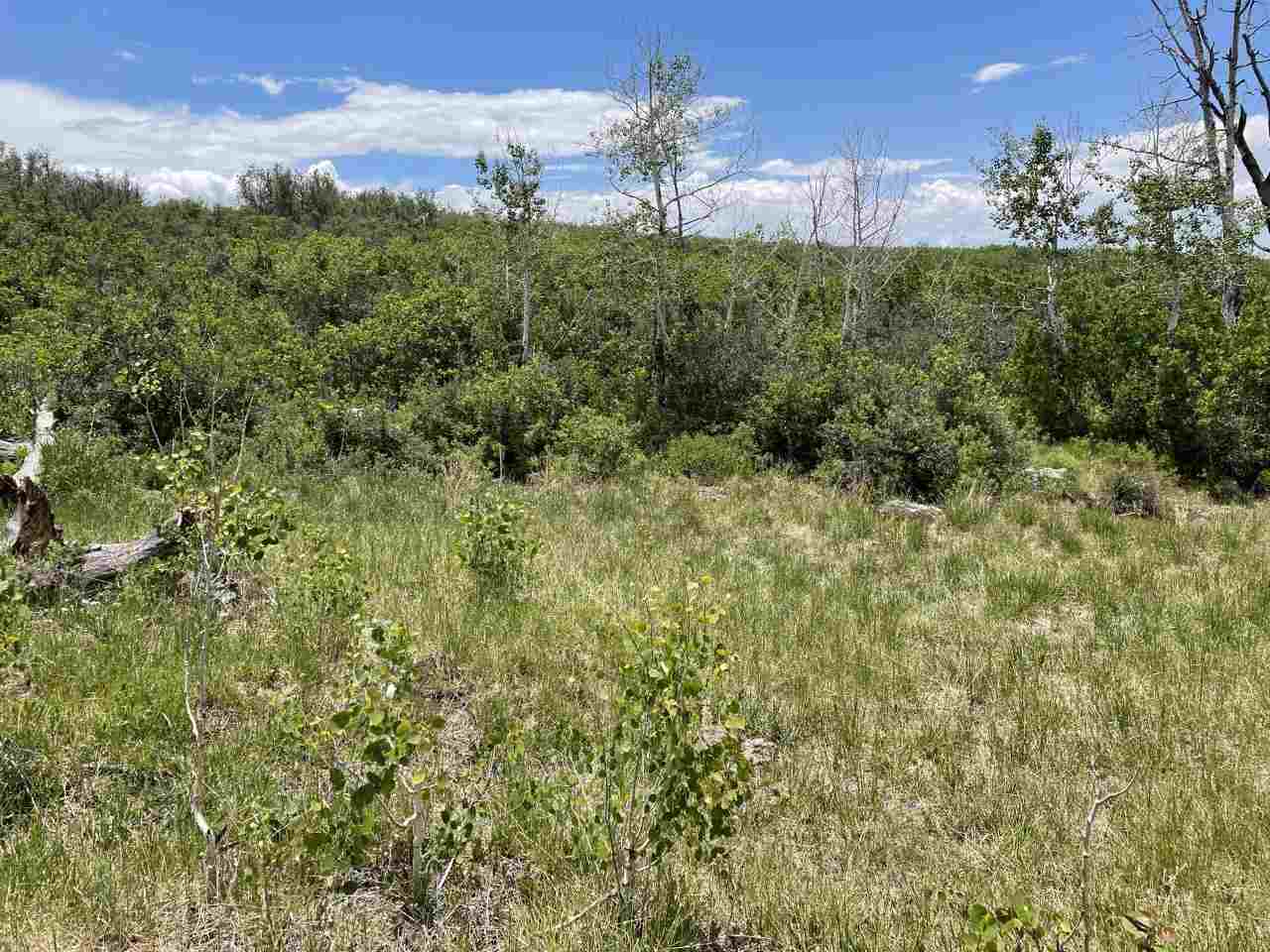 Hotchkiss, CO 81419,TBD E 3100 Road #N/A