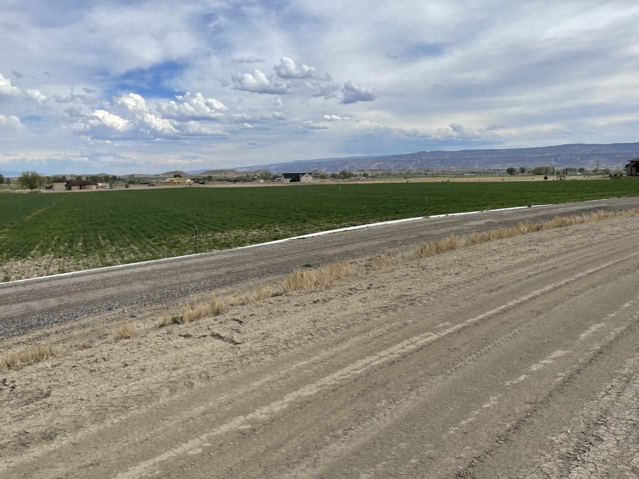 Q Road #PARCEL 1 BERNAL SIMPLE LA, Loma, CO 81524