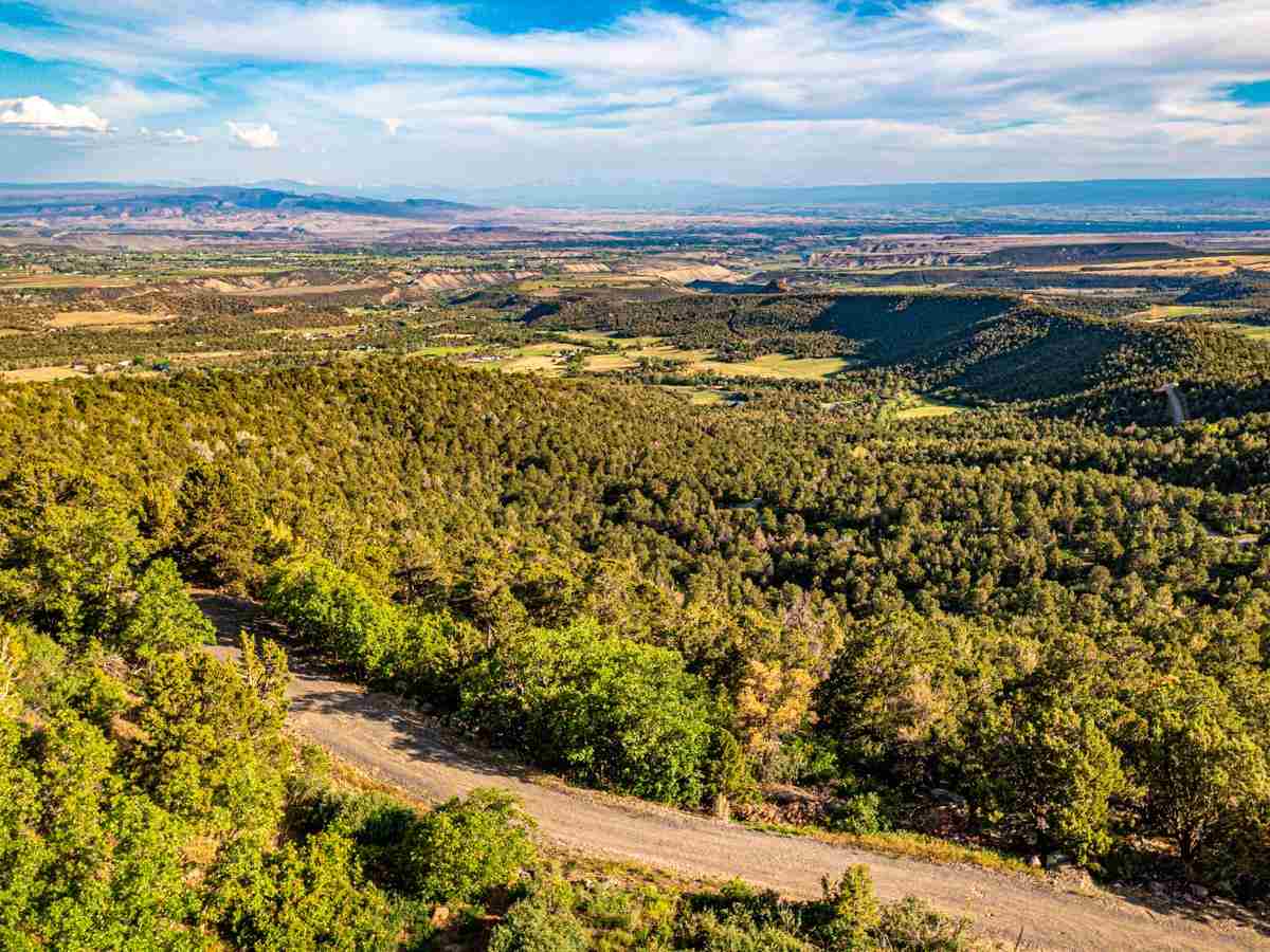 20101 Squirrel Rock Road, Cedaredge, CO 81413
