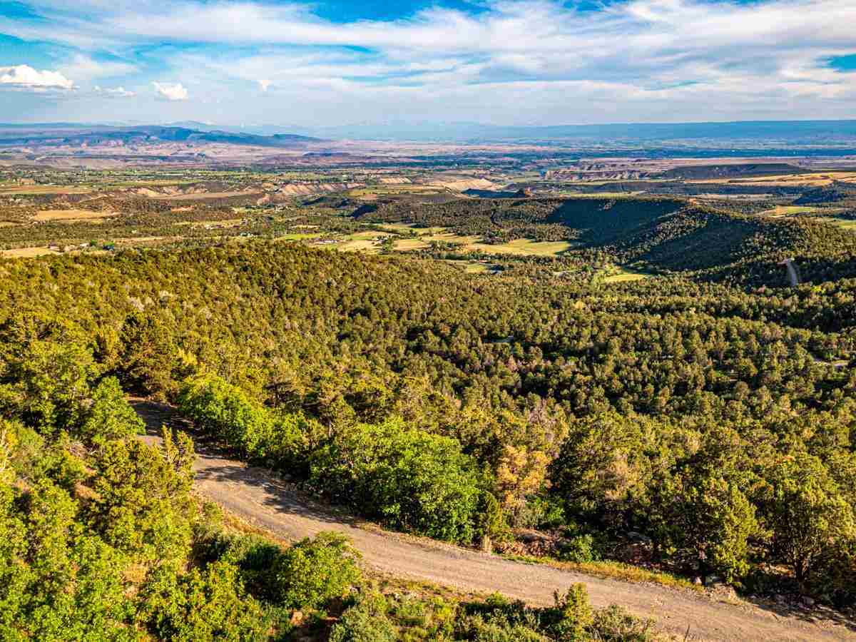 Cedaredge, CO 81413,20101 Squirrel Rock Road