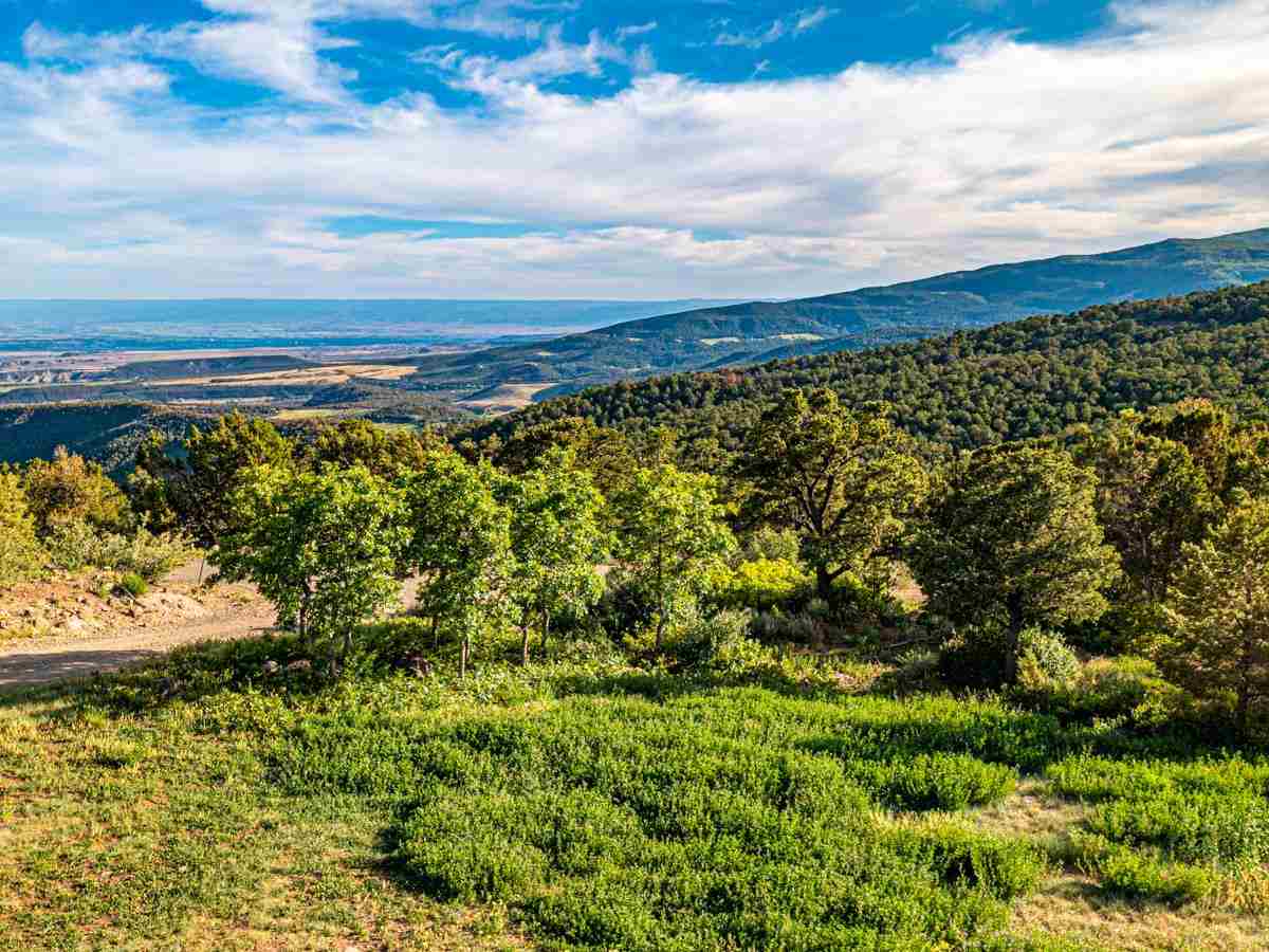 Cedaredge, CO 81413,20101 Squirrel Rock Road