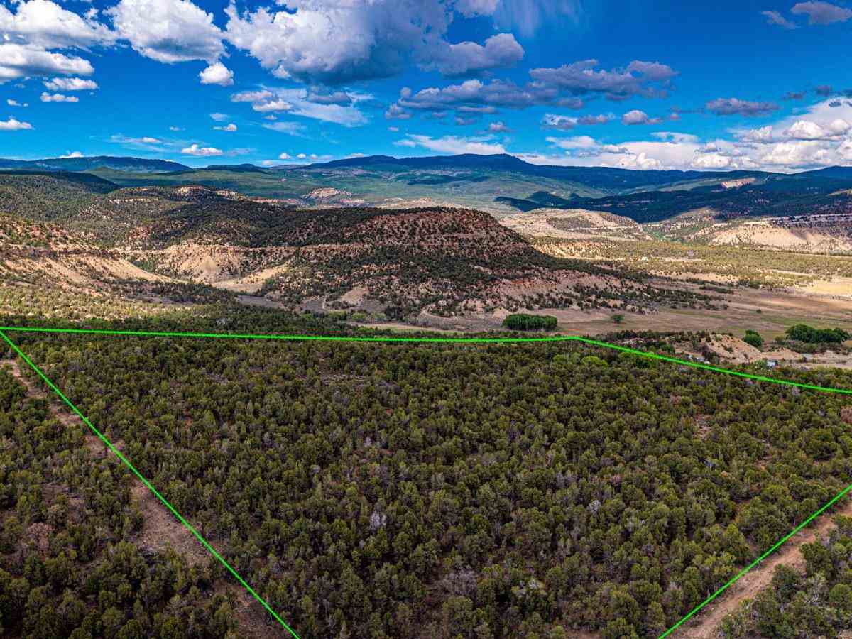 TBD 2550 Road #0, Cedaredge, CO 81413