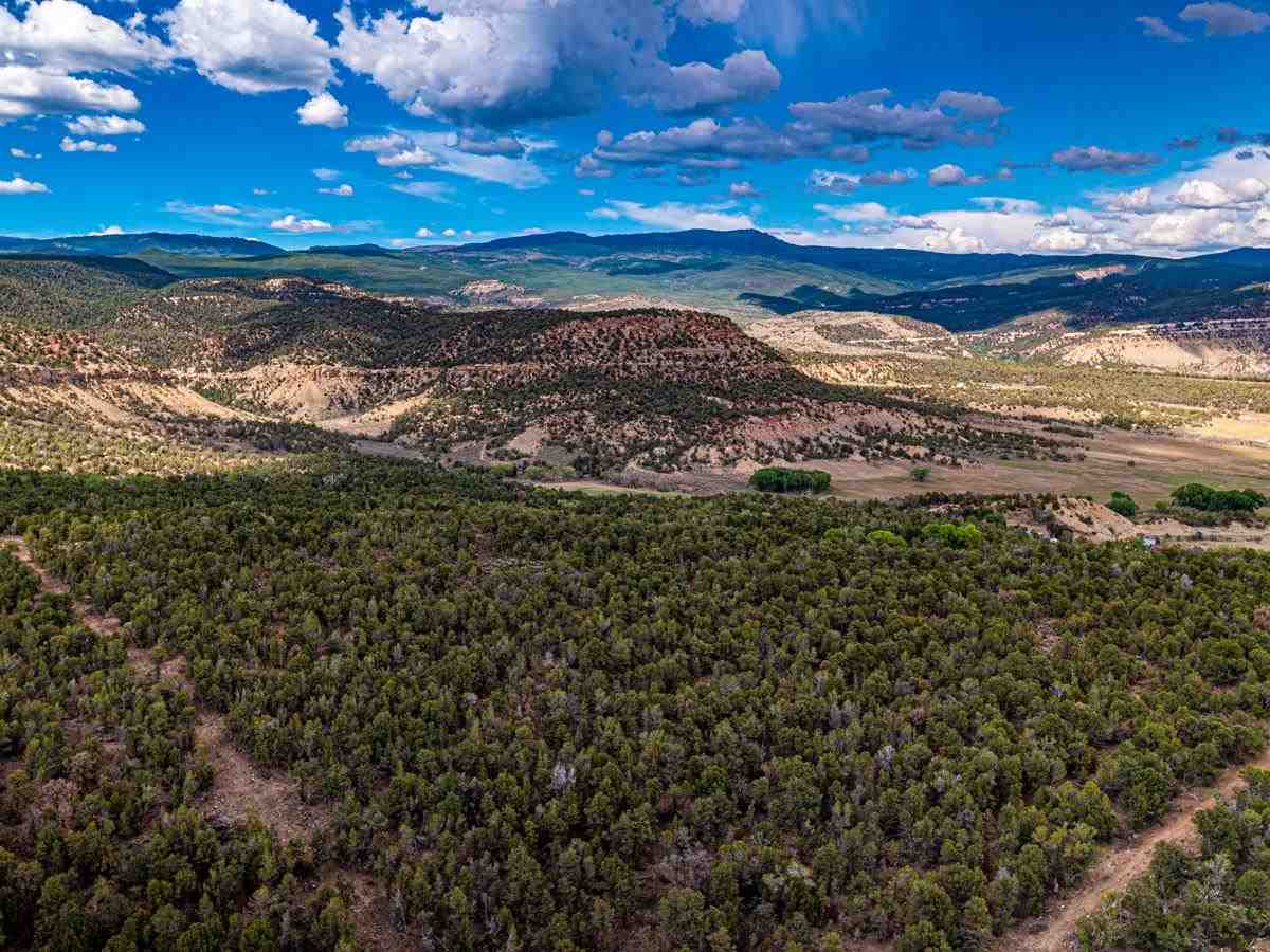 Cedaredge, CO 81413,TBD 2550 Road #0