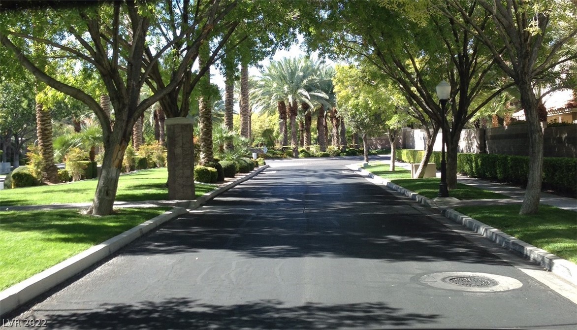 Tree lined Streets