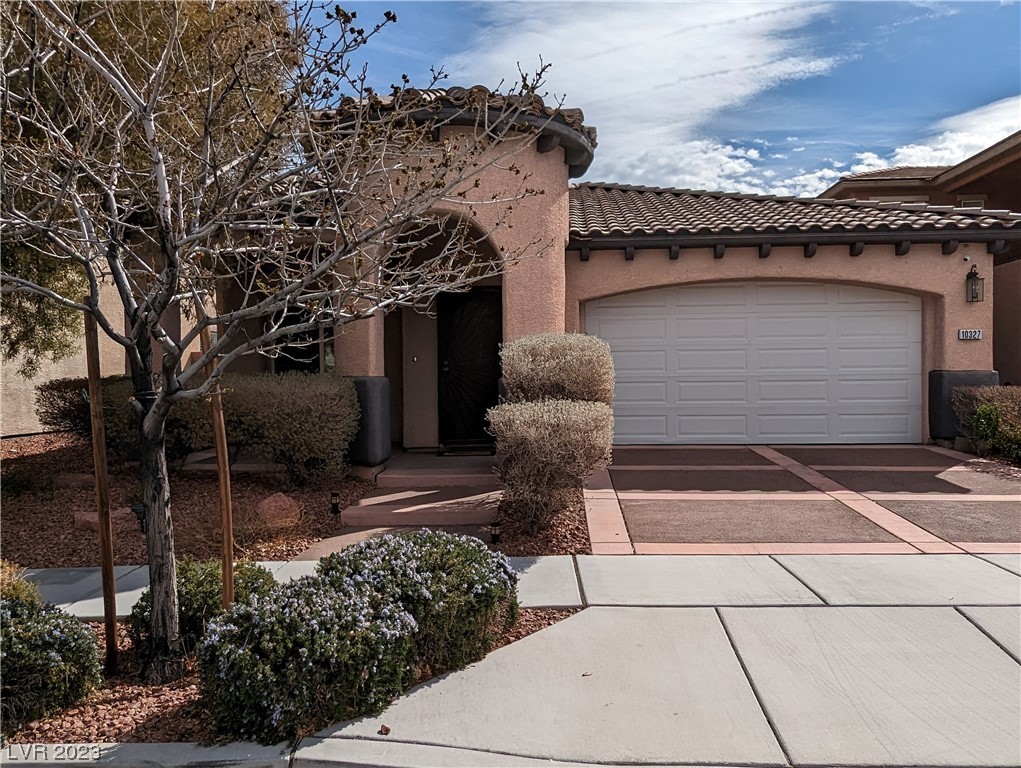 Summerlin - 10327 Howling Coyote Ave
