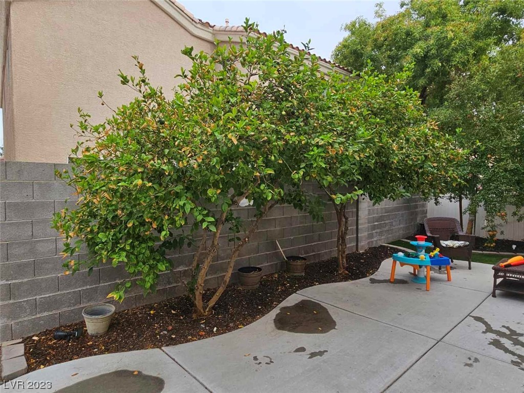 4 Fully mature fruit trees