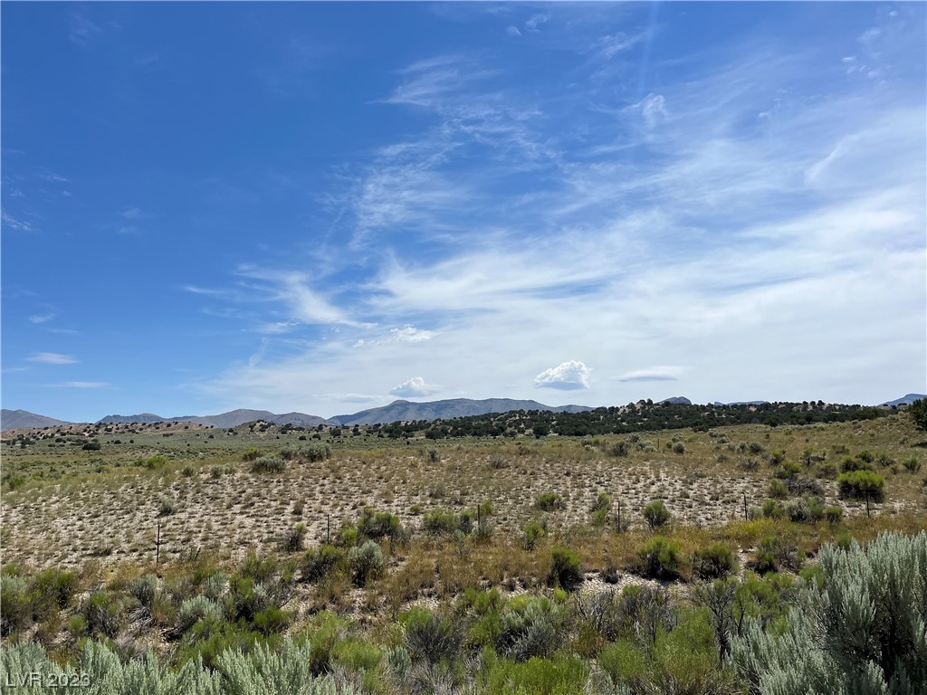 Land,For Sale,80 Acres Pine Valley, Eureka, Nevada 89316,Price $120,000