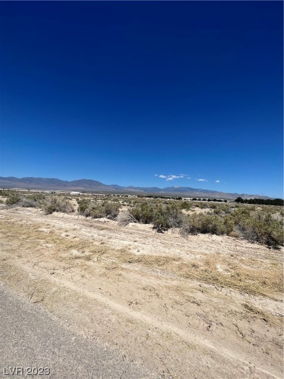 Land,For Sale,110 North Sisk Street, Pahrump, Nevada 89060,5,401 Sqft,Price $15,000