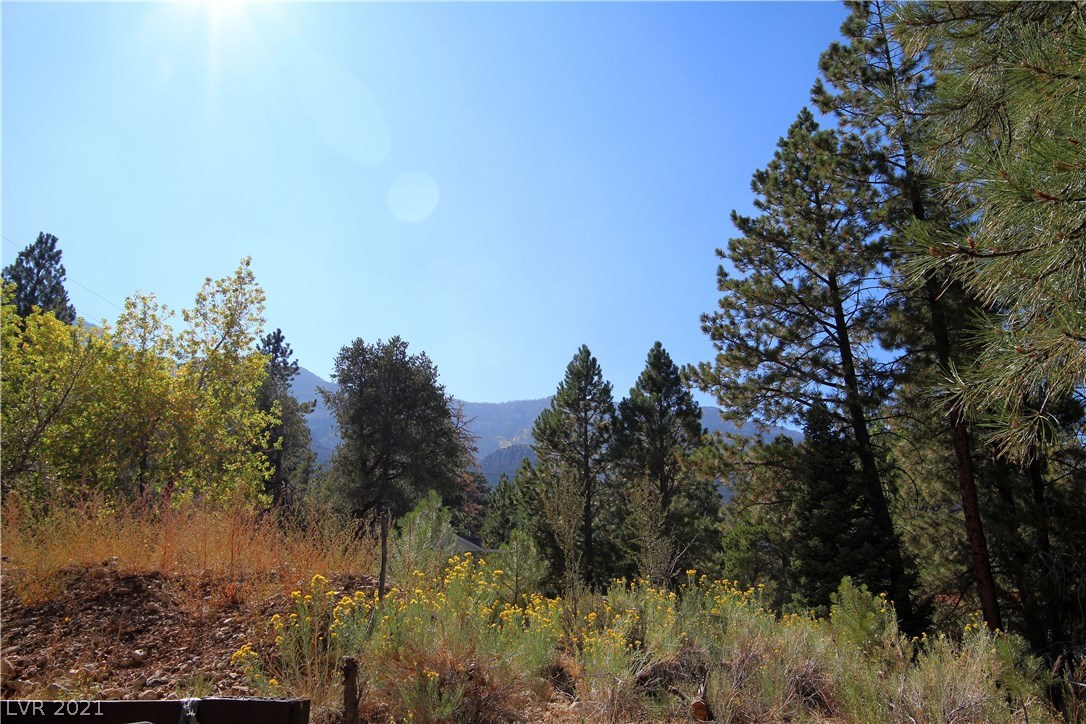 Design your dream home on this stunning, south-facing homesite with excellent surrounding mountain views!