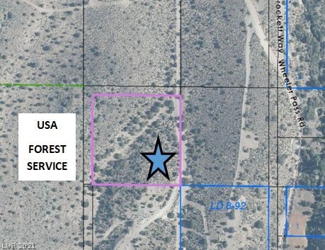 Beautifully wooded 2.06-acre lot with junipers and pines, borders Toiyabe National Forest land.