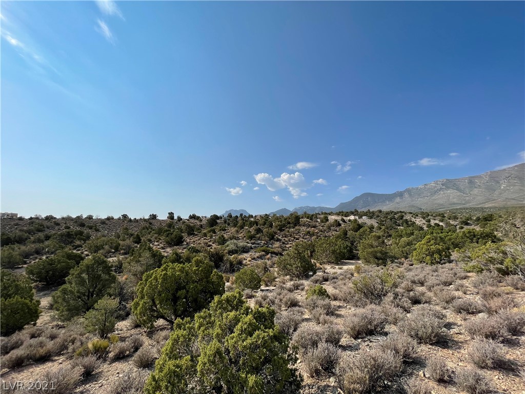 Land,For Sale,APN#092-36-801-001/Crockett, Cold Creek, Nevada 89124,89,734 Sqft,Price $120,000