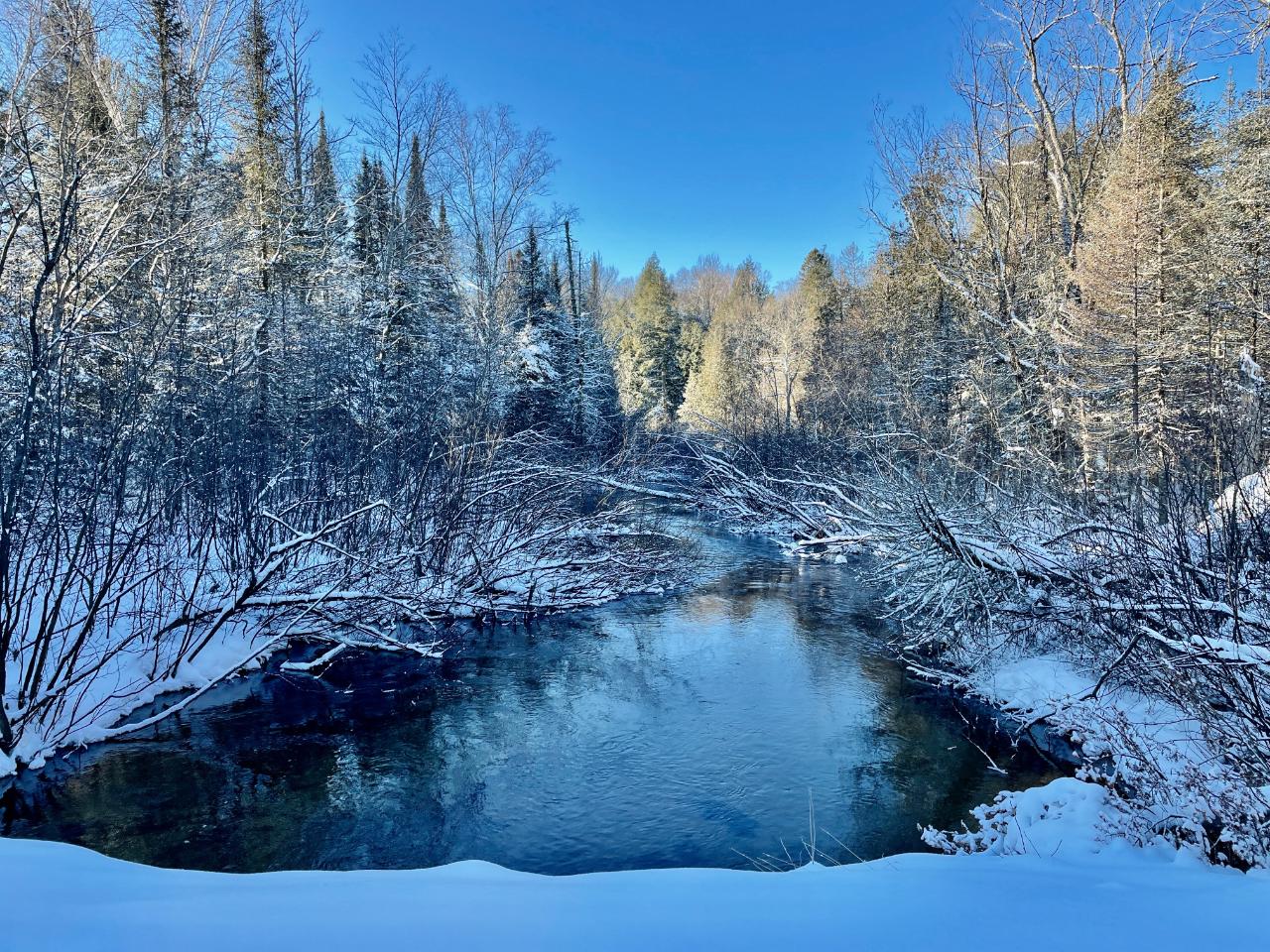 South Twin Lake Property 3584 Dam Ln Photo 1