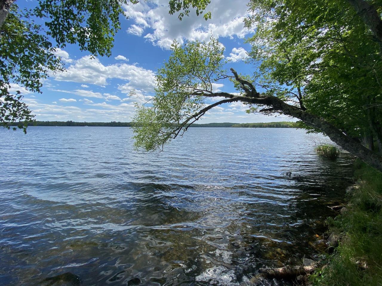 Big Sand Lake Property 1235 Eagles Nest Photo 1