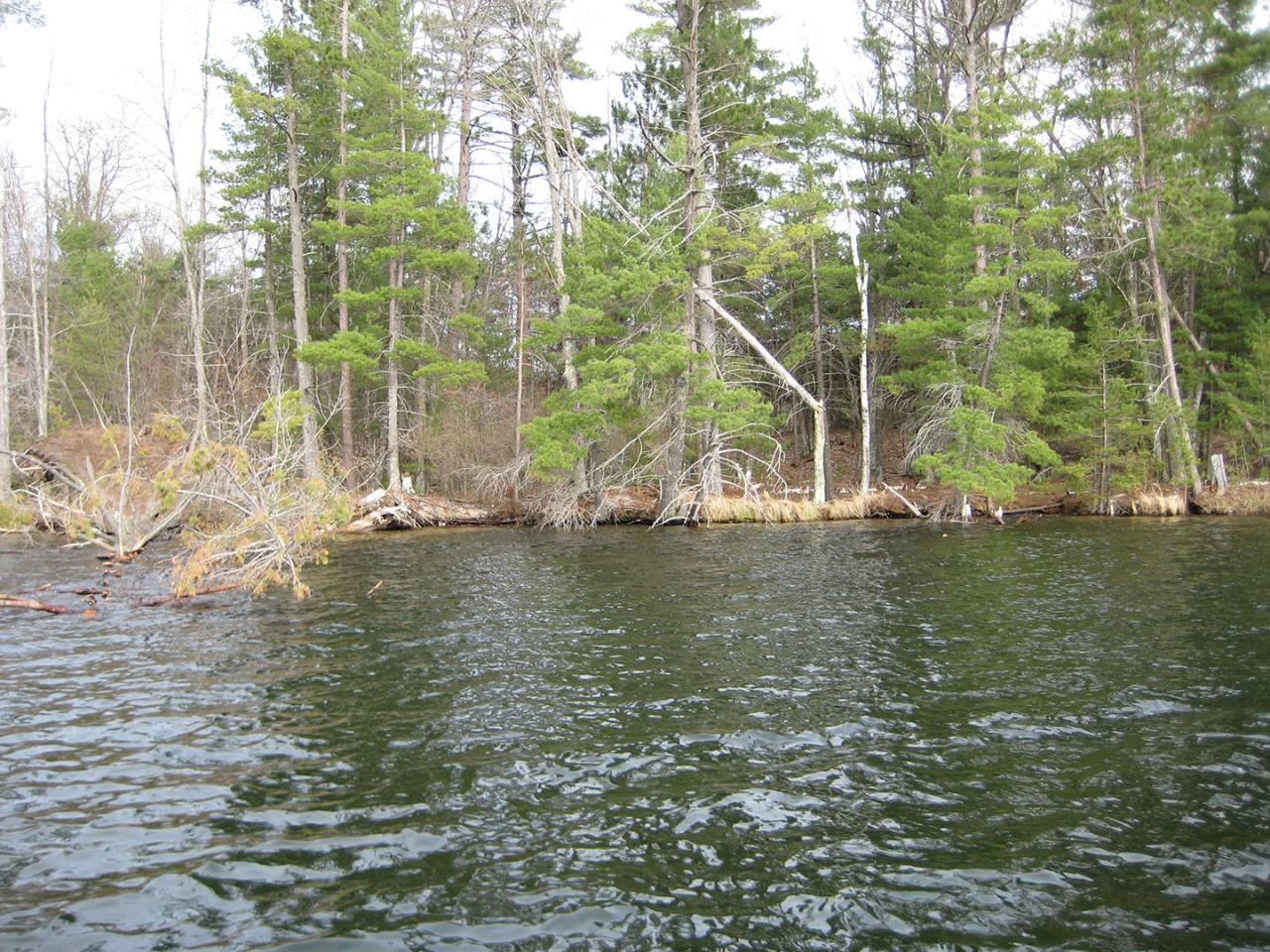 Clearwater Lake Property Lot 60 St Marys Rd Photo 1