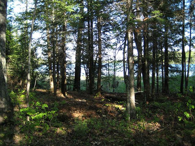 Clearwater Lake Property Lot 21 Bonita Pt Photo 1