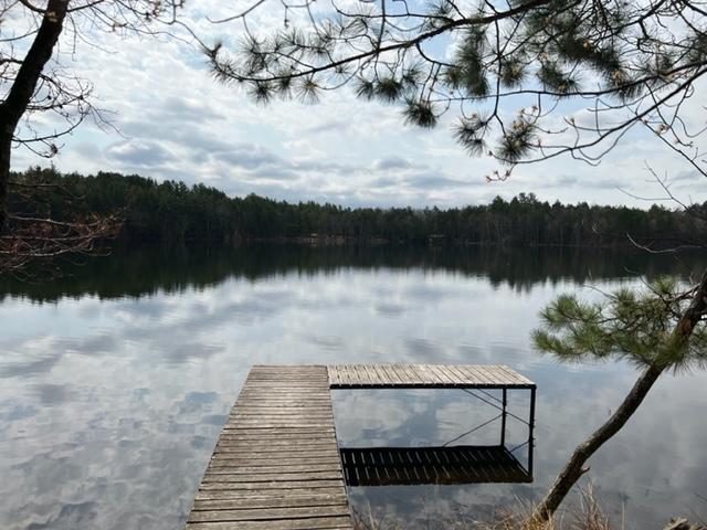 Arbutus Lake Property ON Red Pine Dr Photo 1