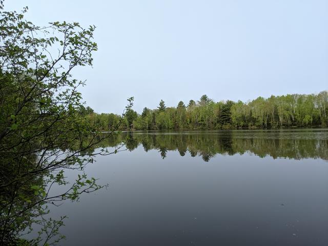 Lot 1 PIXLEY WILDERNESS WEST RD, Phillips, WI 54552